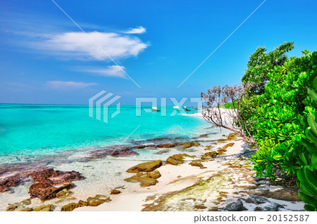 Shoreline of a tropical island in the Maldives  20152587