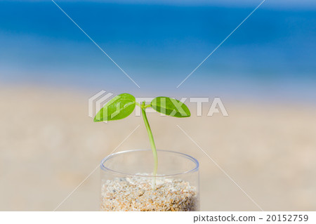 雙葉和海生態形象 20152759