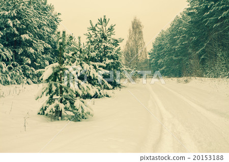 Rural winter snowy landscape 20153188