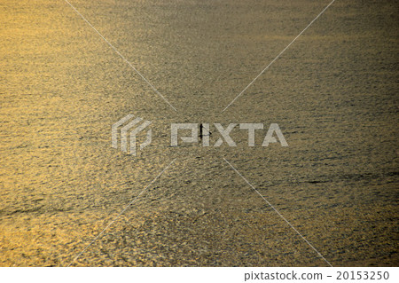 Inamura Kazaki Shichirigahama SUP Stand Up Paddle Boat 20153250