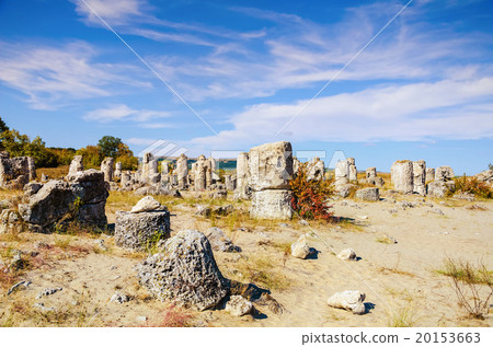 Stone Forest 20153663