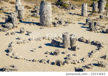 Stone Forest 20153665