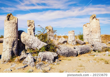 Stone Forest 20153670