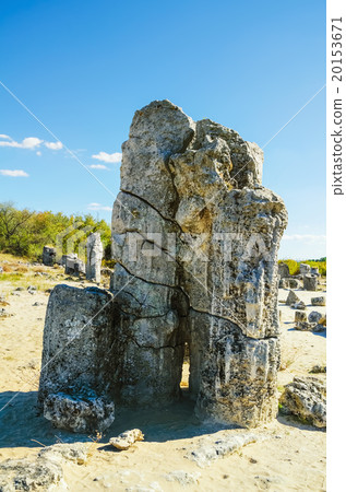 Stone Forest 20153671