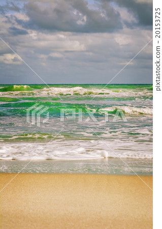 Sea Surf Sea Surf 20153725