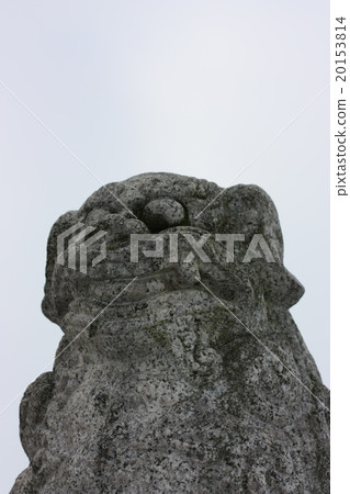 Expression of a lion dog 20153814