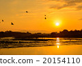 Early morning Arashiyama 20154110