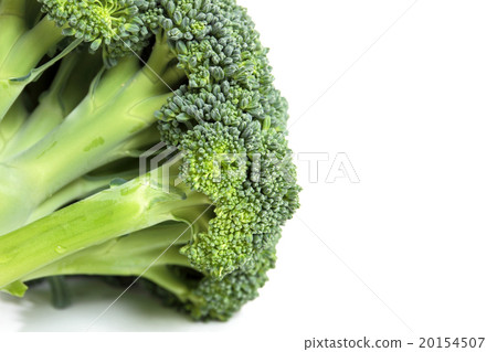 Broccoli is rich in nutrition Broccoli is rich in nutrition 20154507