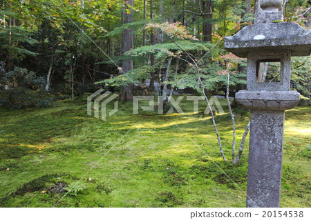 Kyoto Sanzenin Kyoto Sanzenin 20154538