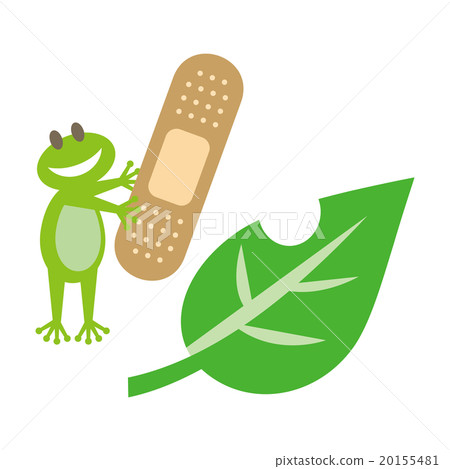 frog, frogs, leaf 20155481