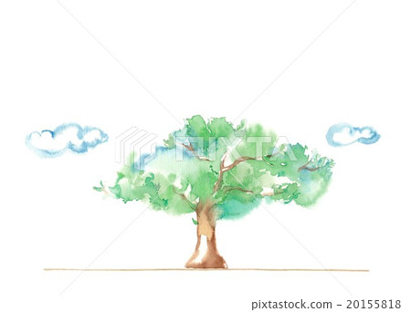 一棵大樹在公園，雲彩 20155818