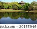 Great Buddha pond in early summer 20155946