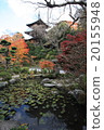 Autumn leaves 20155948