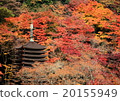 Shizuyama Shrine in the autumn 20155949