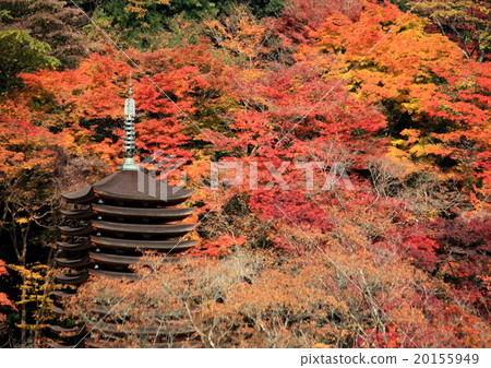 Shizuyama神社在秋天 Shizuyama神社在秋天 20155949