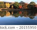 Autumn Great Buddha Pond 20155950