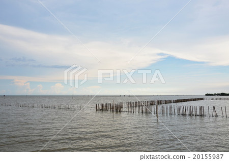 wood pole on the sea 20155987