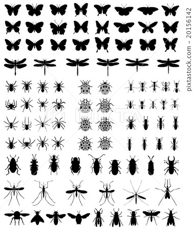 silhouettes of insects silhouettes of insects 20156142