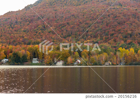 Beautiful autumn foliage and cabins in Vermont 20156216