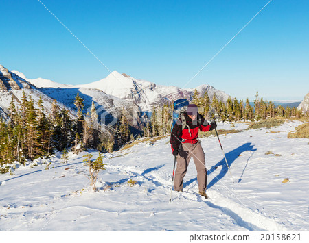 Hike in Glacier Park Hike in Glacier Park 20158621