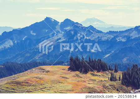 Mt.Adams Mt.Adams 20158634