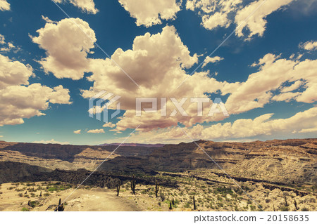 Northern Argentina 20158635