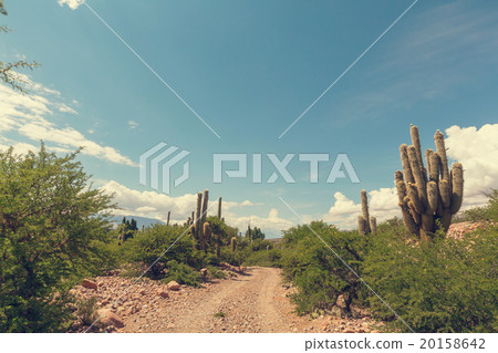 Northern Argentina Northern Argentina 20158642