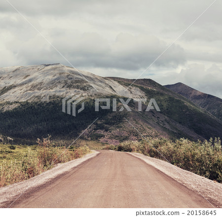 Polar tundra Polar tundra 20158645