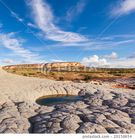 White pocket 20158654