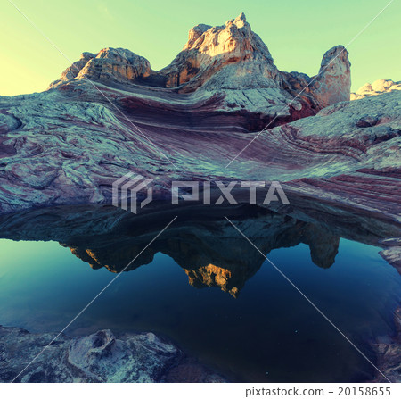 White pocket 20158655