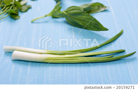 Food ingredients and kitchen utensils for cooking 20159271