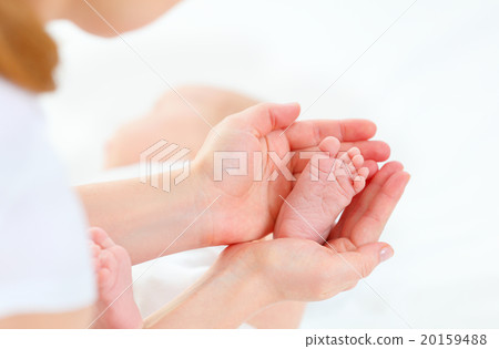 feet newborn baby in arms him mother feet newborn baby in arms him mother 20159488