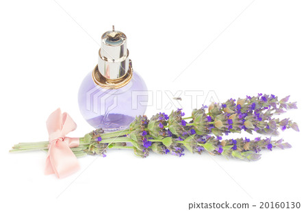Lavender flowers spa Lavender flowers spa 20160130