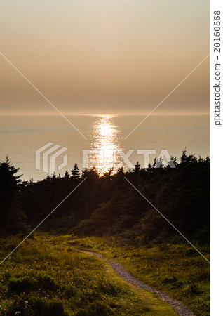 Path leading to sunlight reflected in water  20160868