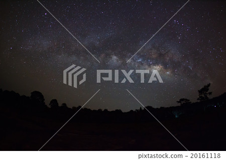 Silhouette of Pine Tree and Milky Way 20161118