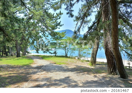 Matsubara of the Shiribetsu Matsubara of the Shiribetsu 20161467