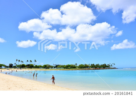Holidays in Hawaii 20161841