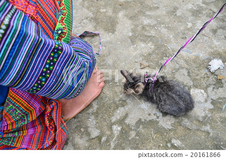 Sunday market in Viet Nam northern Vakha Market with Han Monk and kitten Sunday market in Viet Nam northern Vakha Market with Han Monk and kitten 20161866