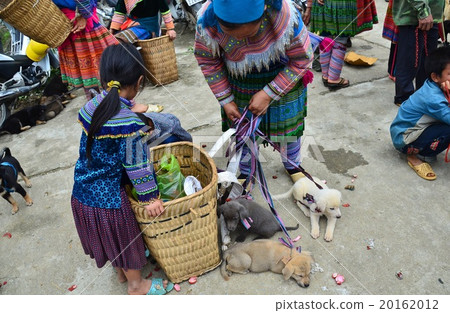 在越南北部市場的周日市場與家庭家庭和家庭小狗 20162012