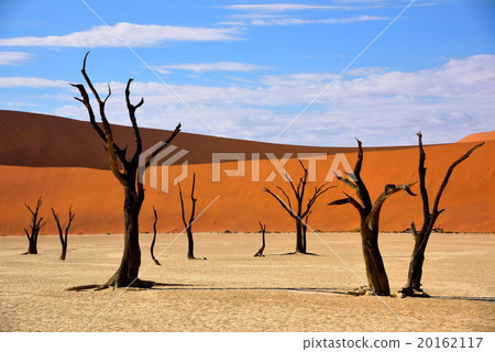 死亡弗雷的風景 20162117