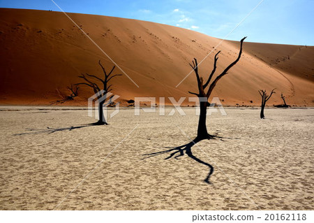 The scenery of Dead Frey 20162118