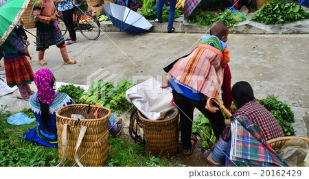 Vietnam Northern Vakha's Sunday Market Selling vegetables Family of Family families Vietnam Northern Vakha's Sunday Market Selling vegetables Family of Family families 20162429