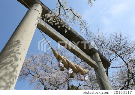 Spring impression shrine 20163117
