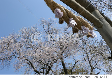 Spring impression shrine 20163118