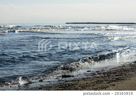 Otsu Beach (Toyokohama) 20163919