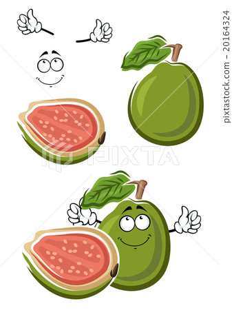 Ripe cartoon green guava fruit 20164324