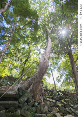 Cambodia Siem Reap Ben Melia ruins 20164388