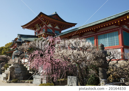 Hofu Tenmangu和Ume Hofu Tenmangu和Ume 20164830