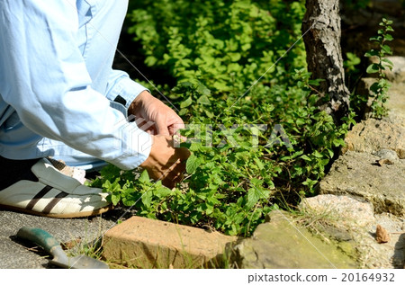 一個男人 20164932