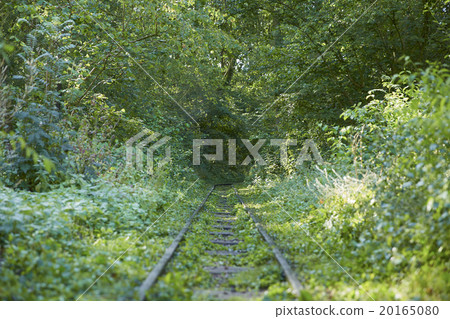 鐵軌 20165080